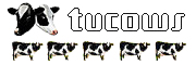 ParetoLogic Data Recovery Pro Tucows Review
